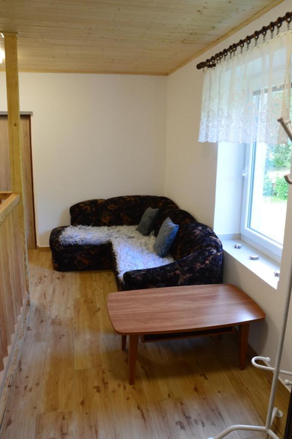 Bartosovice v Orlickych Horach Horsky Apartman Pod Zelenou Strechou מראה חיצוני תמונה